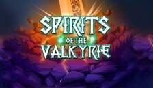 Spirits Of The Valkyrie