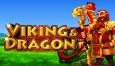Viking  Dragon